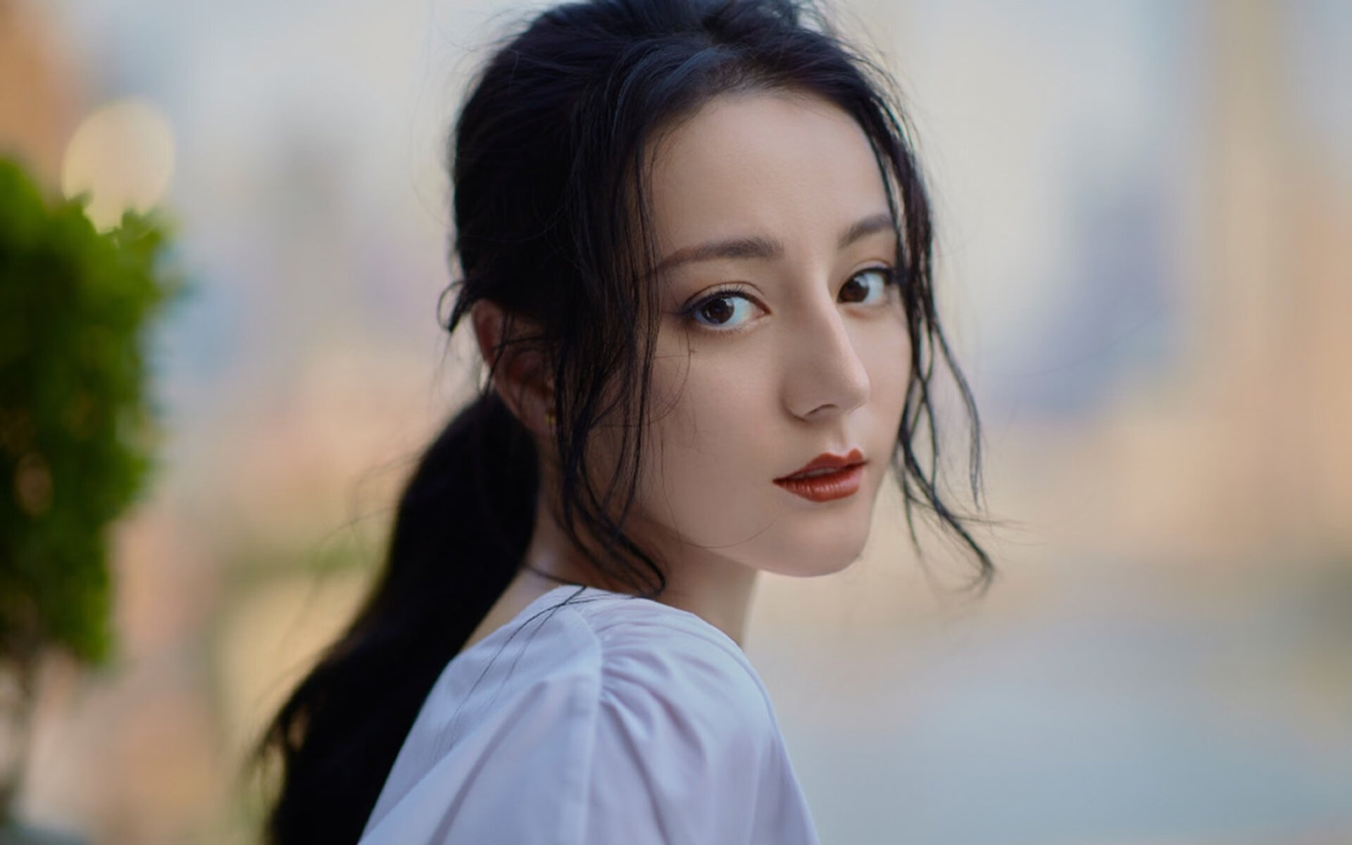 体育社会组织透明度与公信力提升路径，体育社会组织发展历程