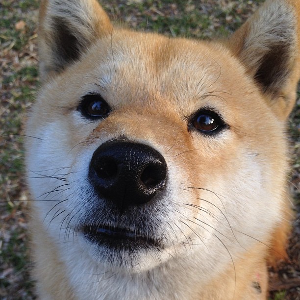 CBA联盟完善比赛规则 提升赛事质量，cba篮球联赛赛制规则