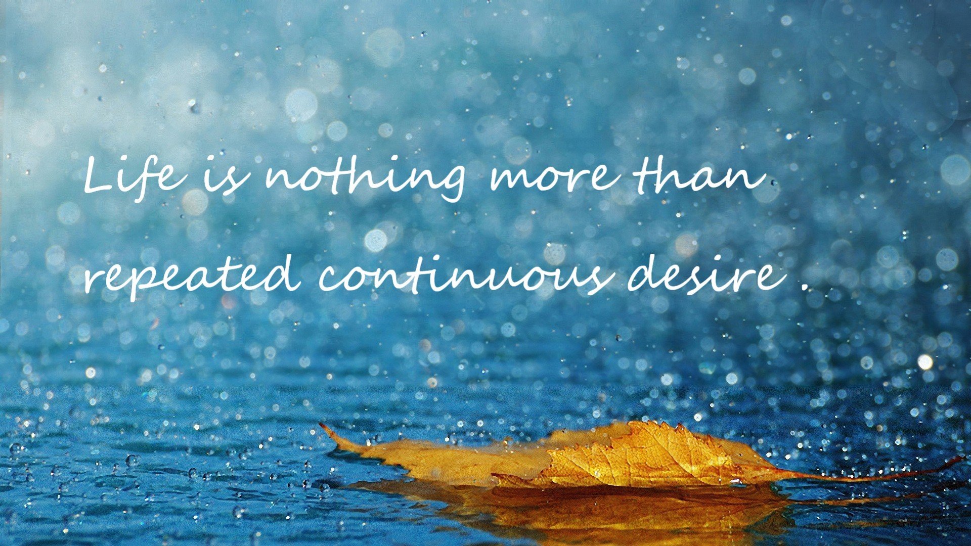 乐鱼官网优惠-国家队技战术创新动力不足，国家队技战术创新动力不足的原因