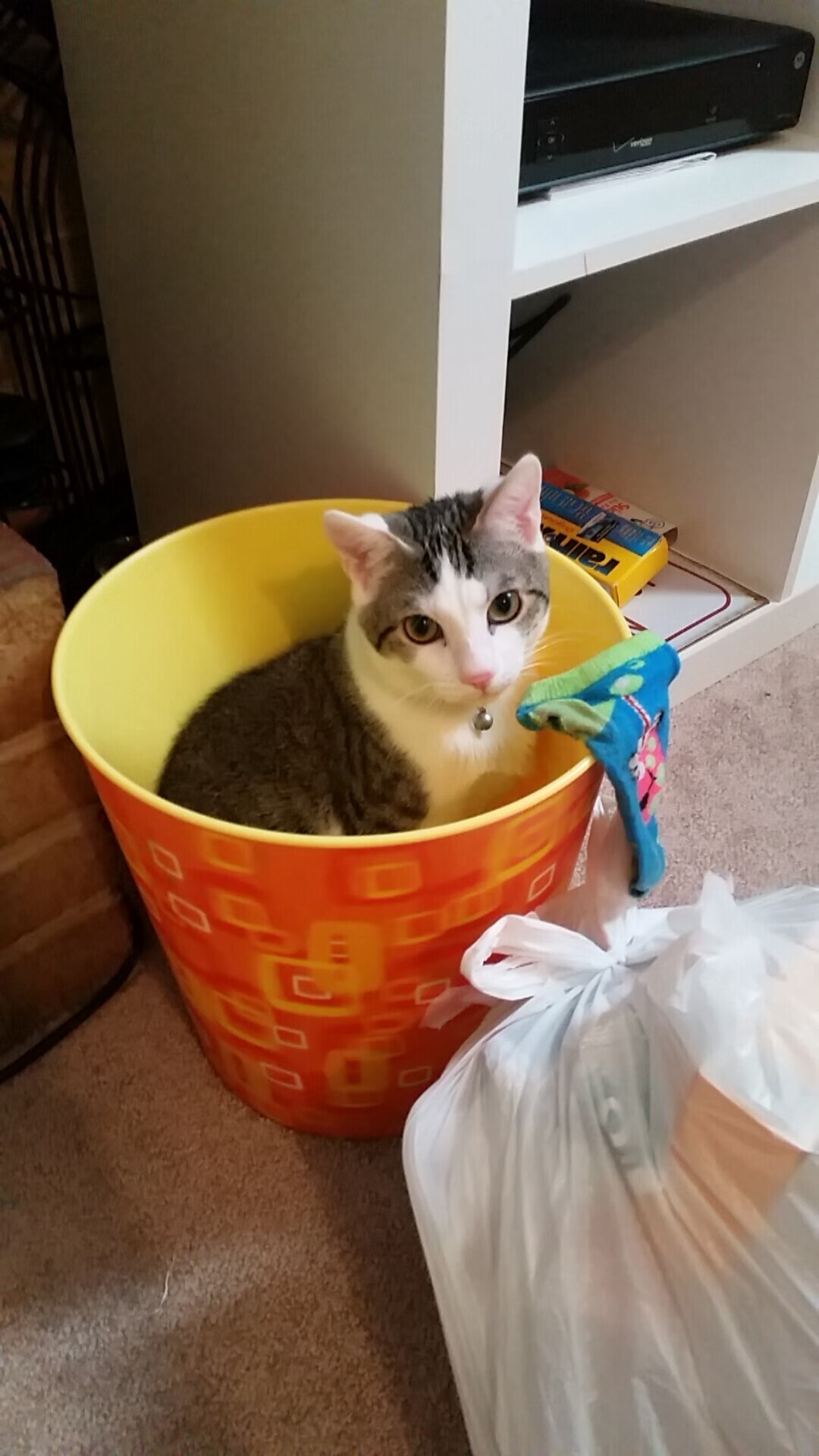 奥预赛中国青年队夺冠 数据表现抢眼，青奥会选拔赛成绩