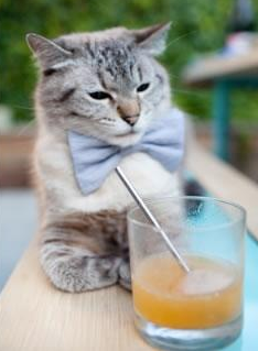 乐鱼体育在线下载-澳大利亚队团队赛制的未来：如何依托团体合作加强整体实力，澳大利亚组合