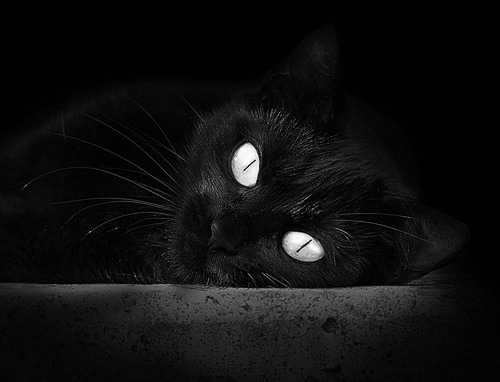 羽毛球赛场技术水平提升,羽毛球比赛中的技术要领视频