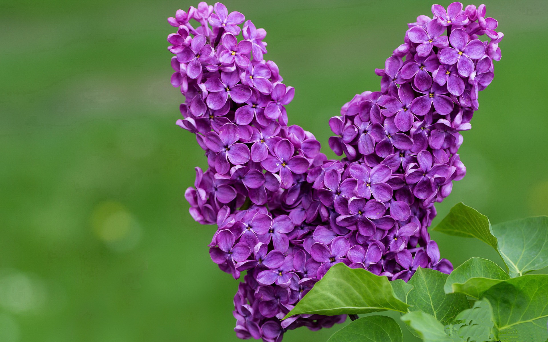 乐鱼体育app官网入口-足球联赛新人横空出世表现惊艳，足球新人排名