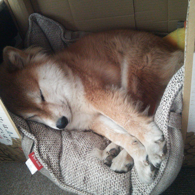 “胡利安·门德斯的踢球技术，成为阿根廷美洲狮队的战术核心”