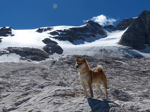 中国足球国家队赛后复盘机制趋于专业化，国足终于赢球了