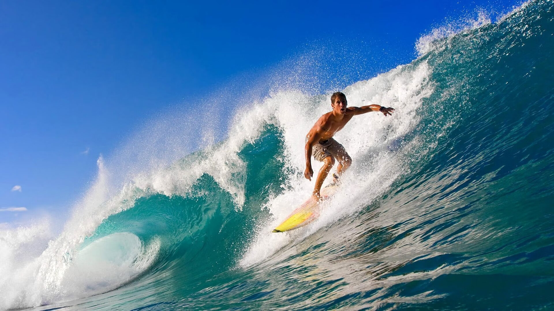 体育赛事影响力排行榜新一期榜单出炉，体育赛事价值排行